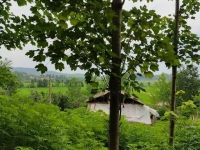 فروش 1قطعه زمین مسکونی گیلان شفت بسمت امامزاده اسحاق روستای بیجارسر